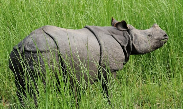 Dudhwa National Park