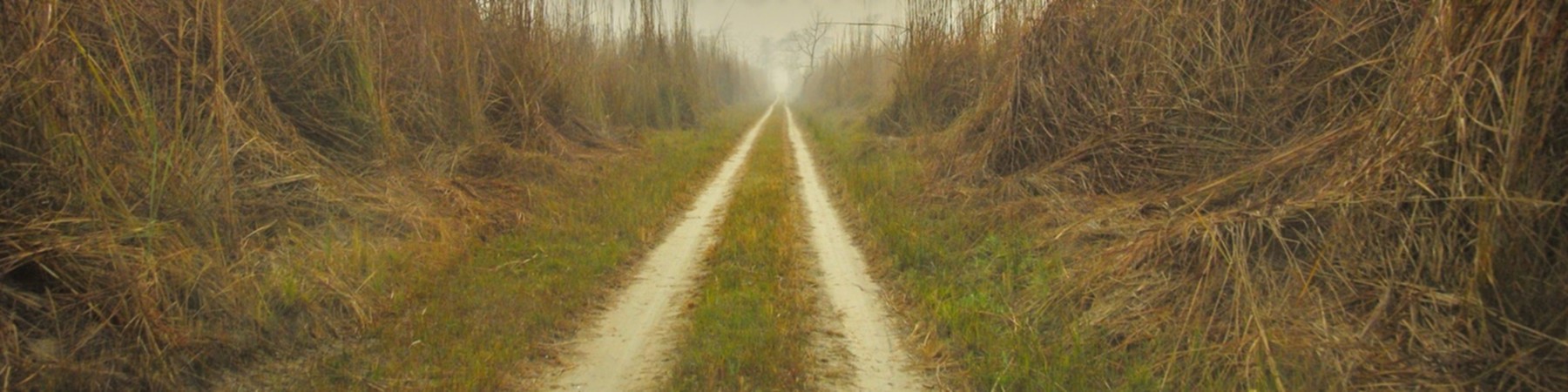 Dudhwa National Park Opening Date & Times