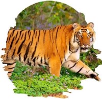 Dudhwa Tourism - Dudhwa National Park