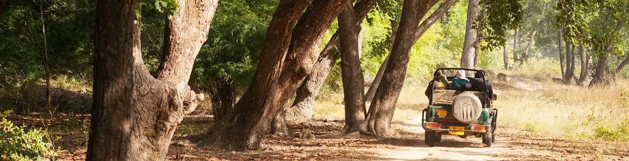 Jaagir Lodge Dudhwa, Dudhwa jungle hideaway resort, Dudhwa jungle lore, Dudhwa tiger den club and resort, Dudhwa palm resort, and Dudhwa wilderness camp