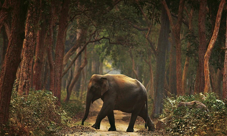 Dudhwa National Park